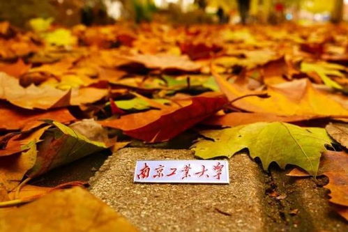 南京工業大學 百廿育才，鑄就科技與產業輝煌——慶祝建校119周年