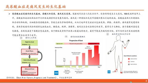 醫(yī)藥行業(yè)深度報告 高尿酸血癥與痛風行業(yè)全景及國內貿易代理前景