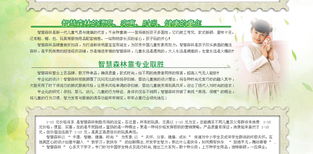 智慧森林 童裝品牌新勢(shì)力，攜手遠(yuǎn)大恒通共創(chuàng)未來